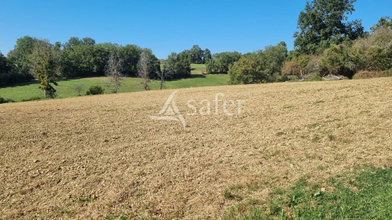 Azienda agricola In vendita Gers