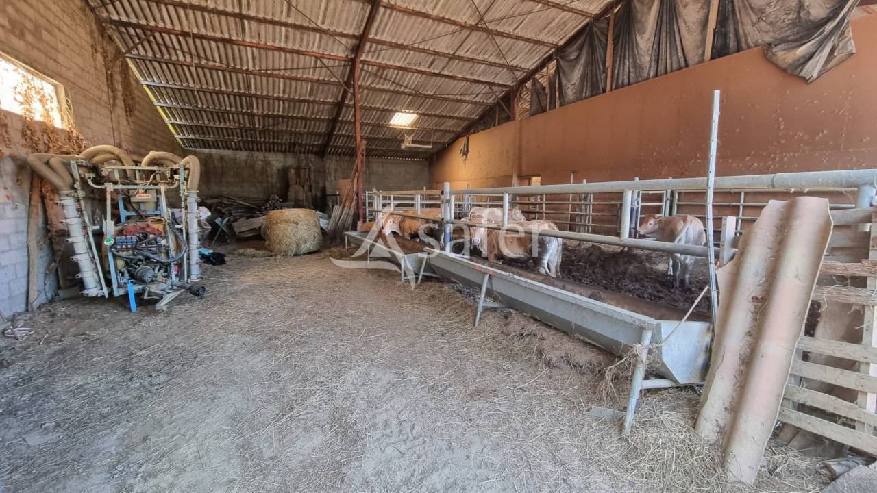 Azienda agricola In vendita Gers