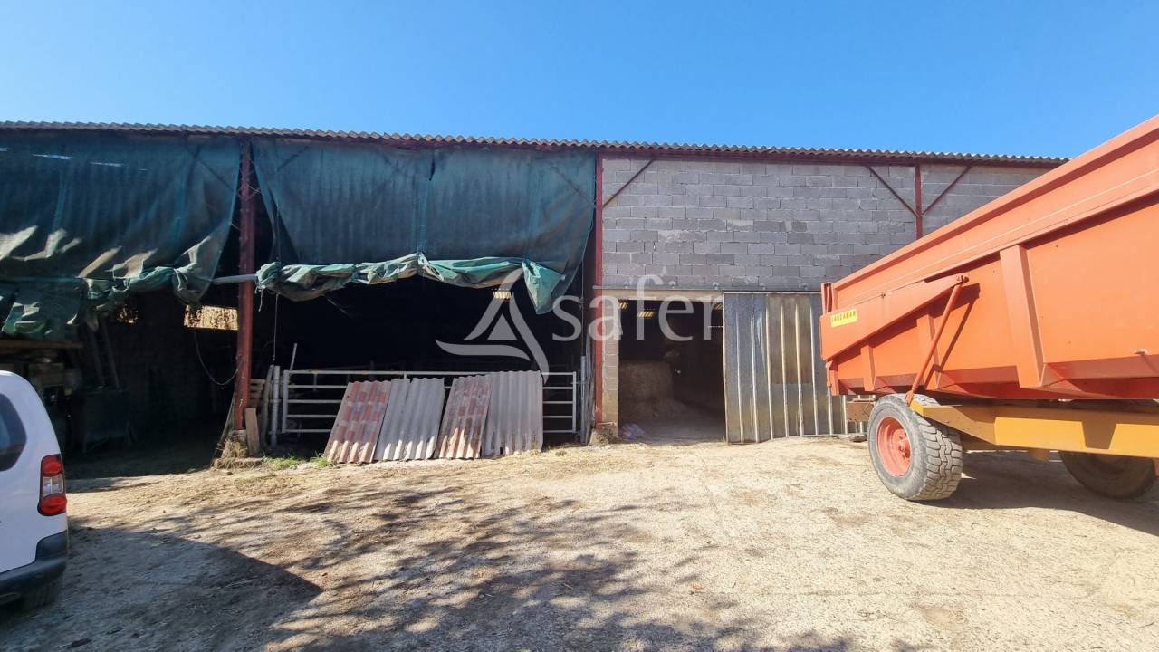 Azienda agricola In vendita Gers