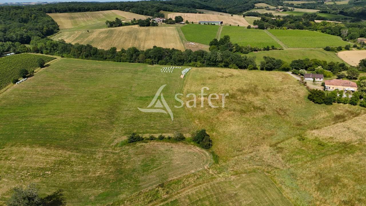 Azienda agricola In vendita Gers