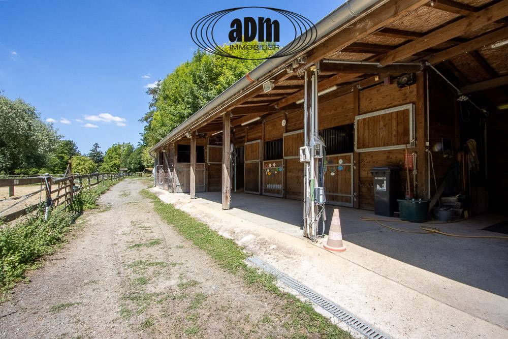 Bella dimora equestre In vendita Seine-et-Marne