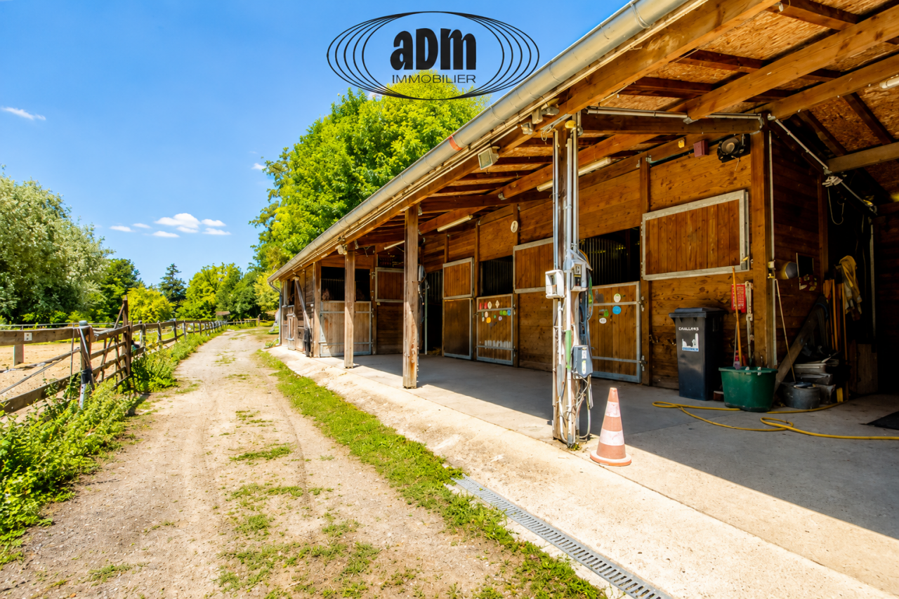 Bella dimora equestre In vendita Seine-et-Marne