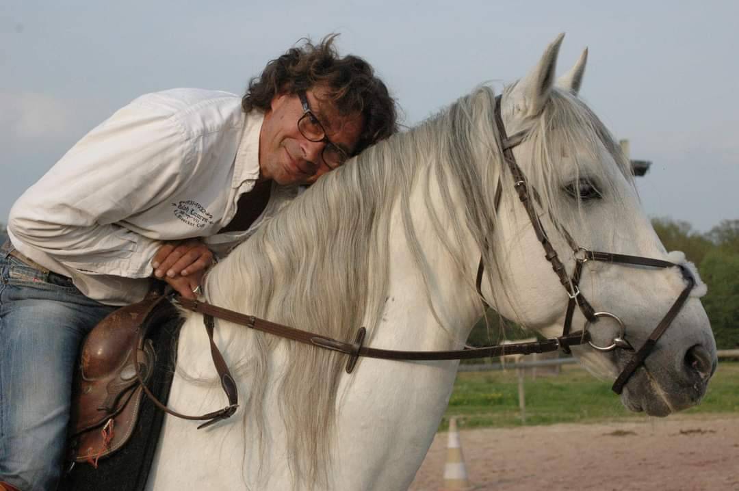 Castrone PRE Andaluso In vendita 2008 Grigio