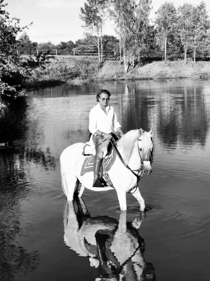 Castrone PRE Andaluso In vendita 2008 Grigio