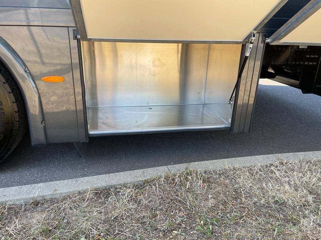 Camion per Cavalli Man MAN 0 Nuovo