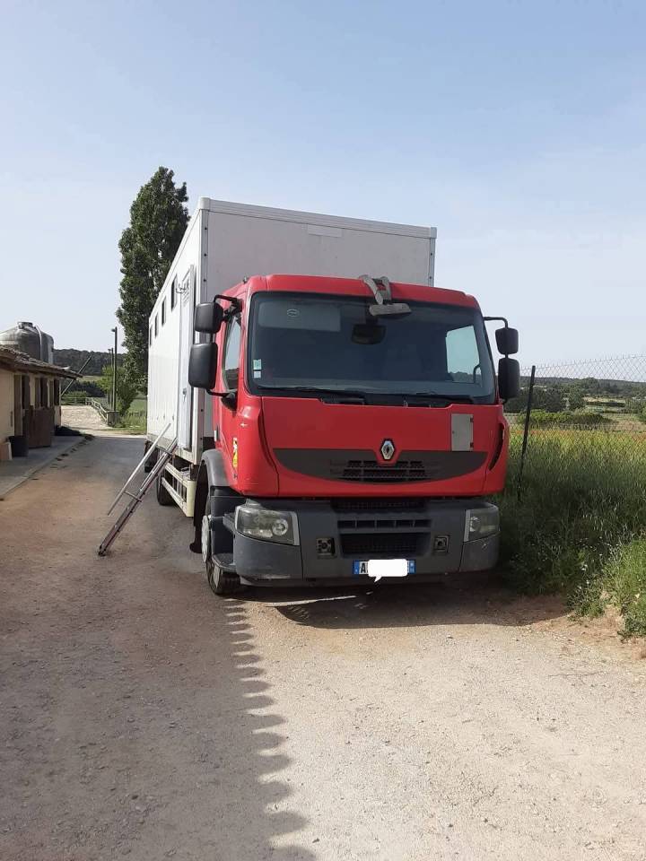 Camion per Cavalli Renault Premium  2010 Occasione