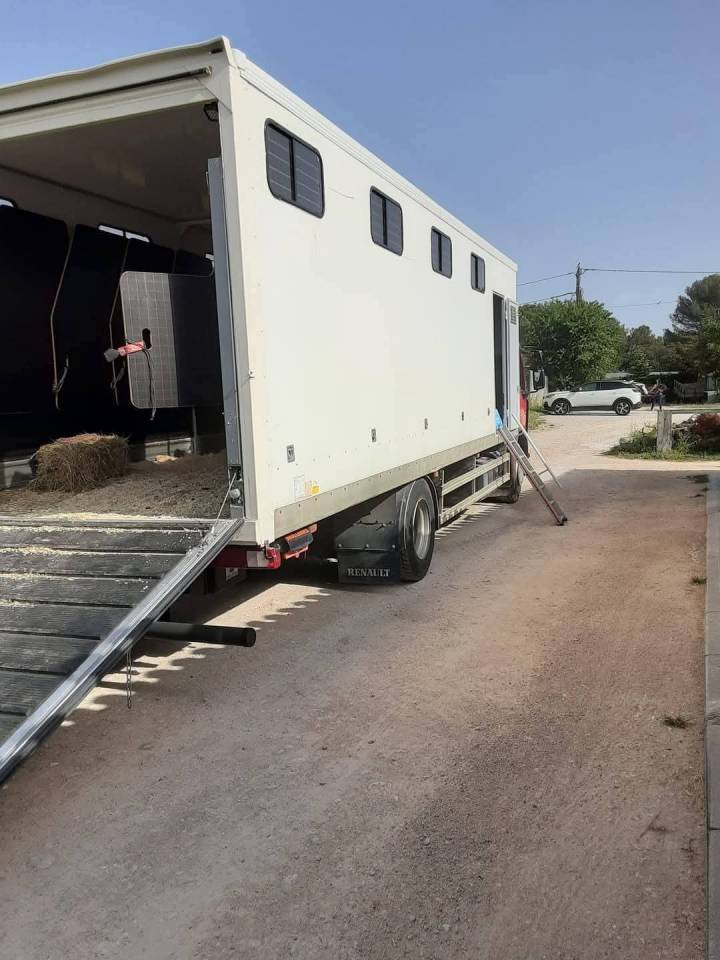 Camion per Cavalli Renault Premium  2010 Occasione