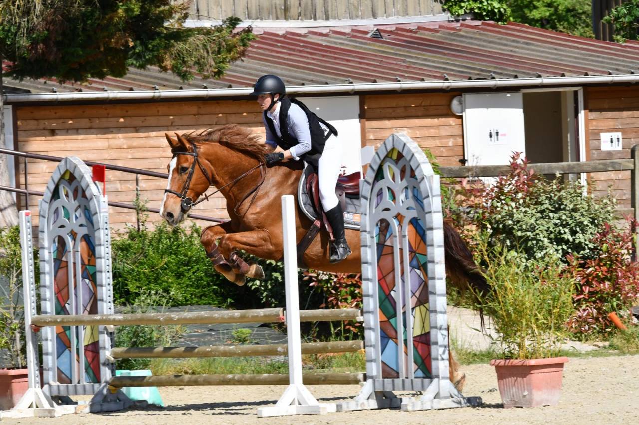 Castrone Origine Non Constatata In vendita 2011 Sauro