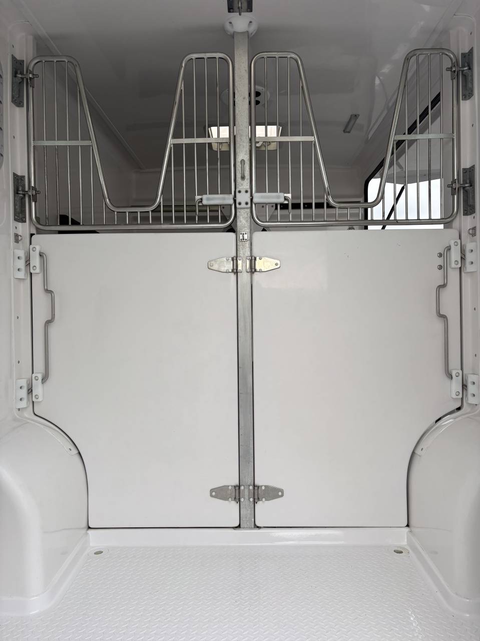 Van per Cavalli Barbot D5 2023 Occasione