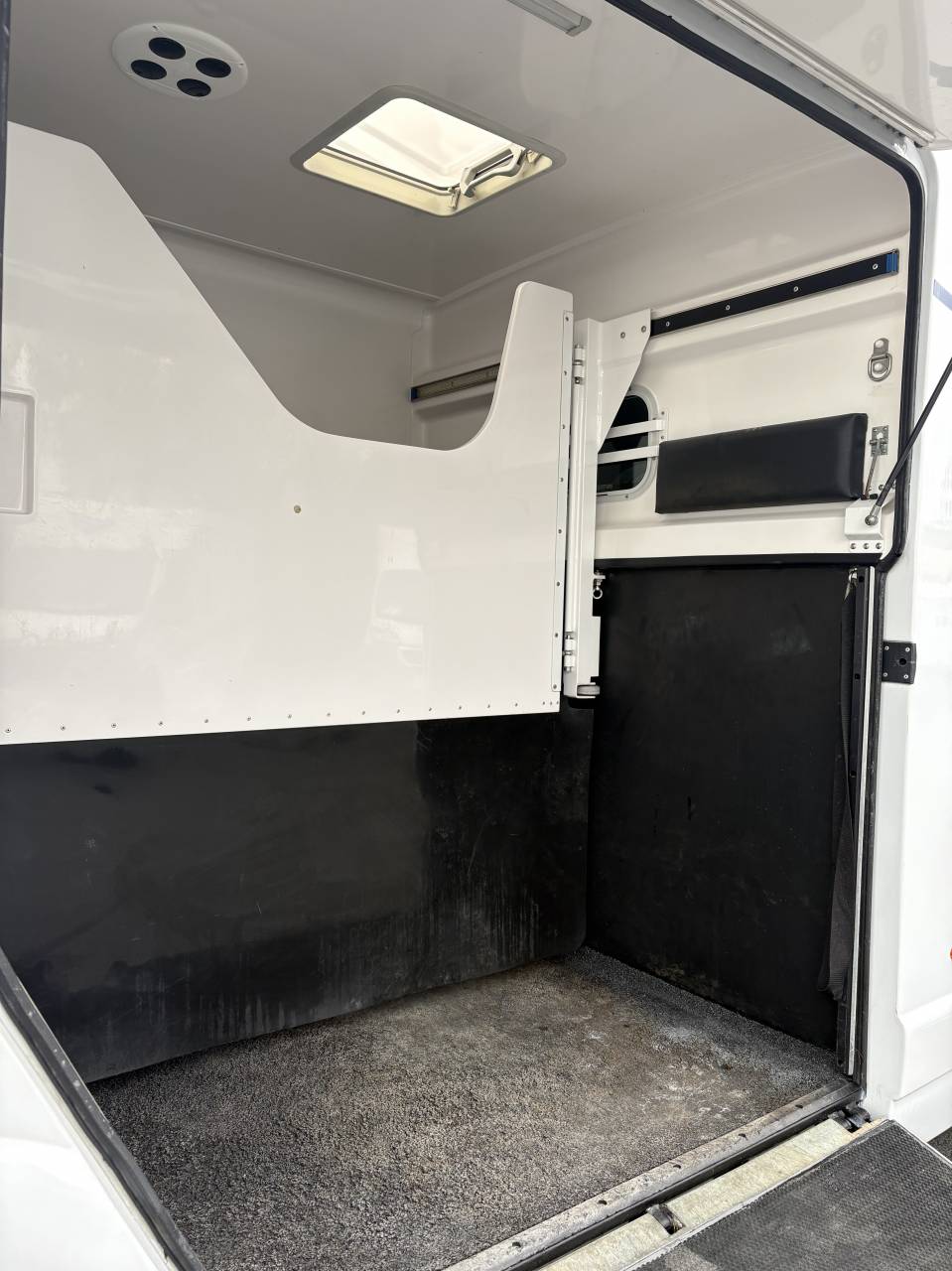 Van per Cavalli Barbot D5 2023 Occasione