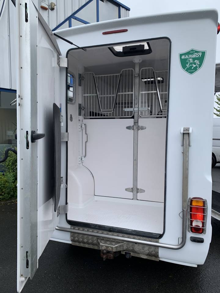 Van per Cavalli Barbot D5 2018 Occasione