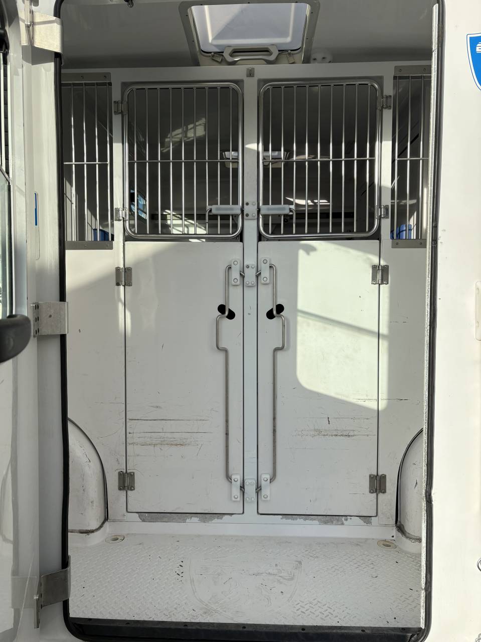 Van per Cavalli Barbot D5 2021 Occasione