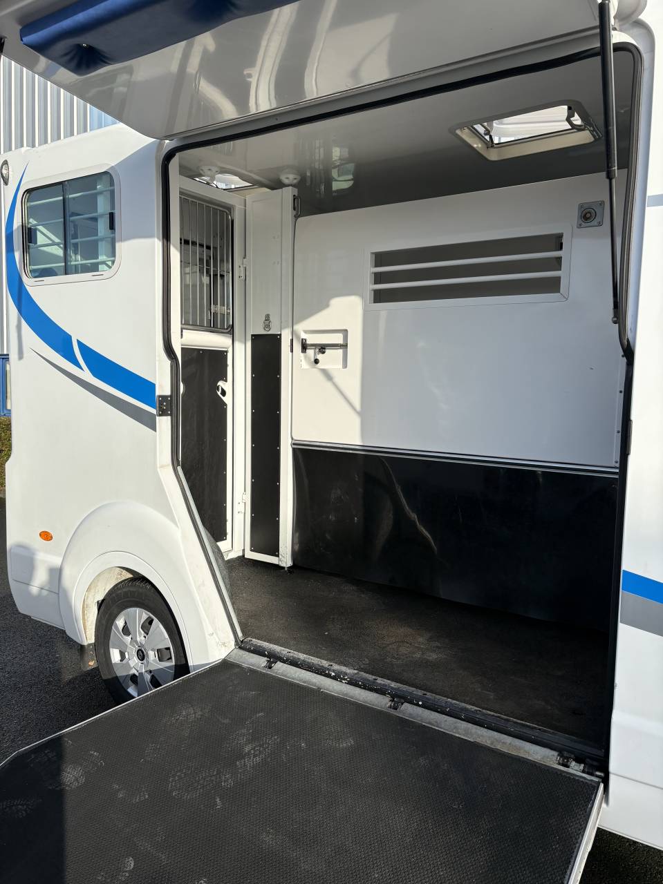 Van per Cavalli Barbot D5 2021 Occasione