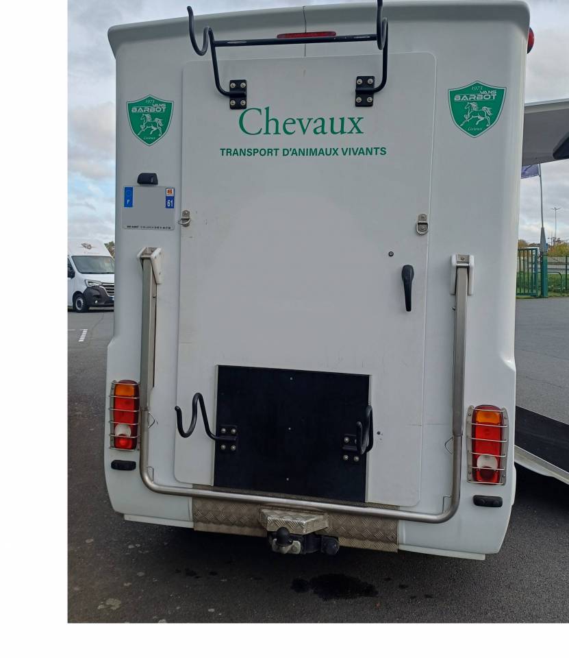 Van per Cavalli Barbot D5 2023 Occasione