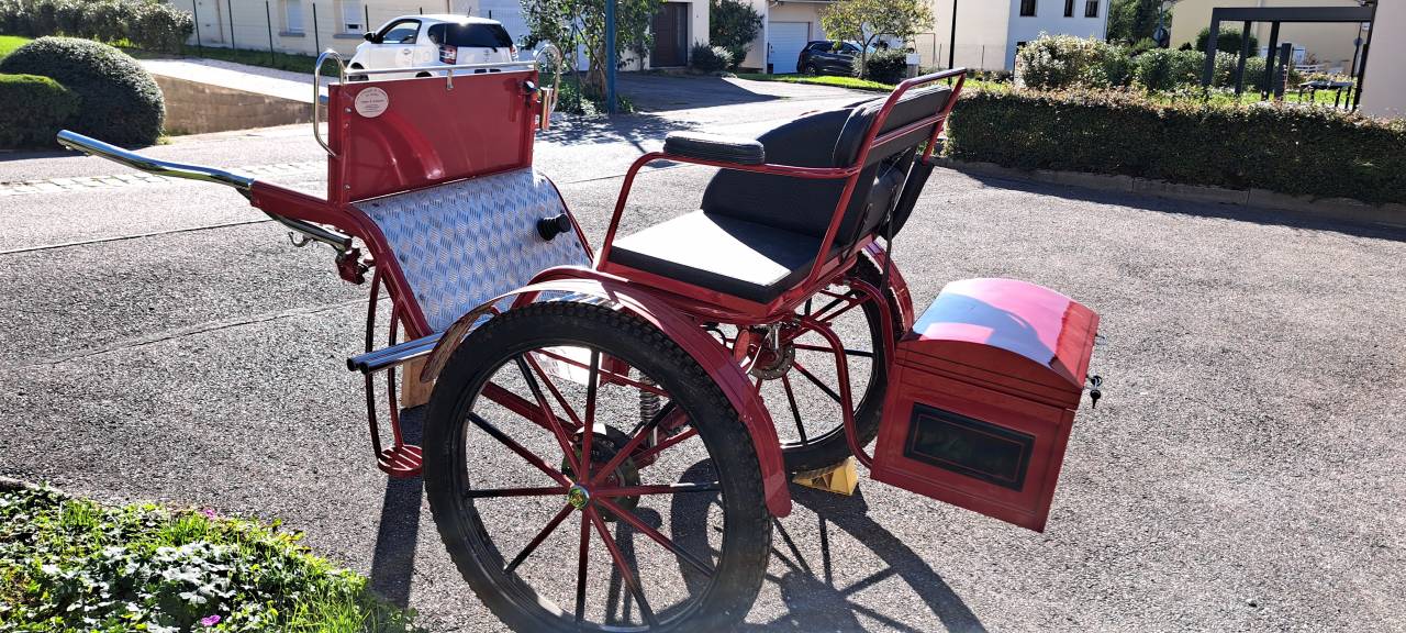 Attacchi - Gig - Altra marca - Gig d'attelage 