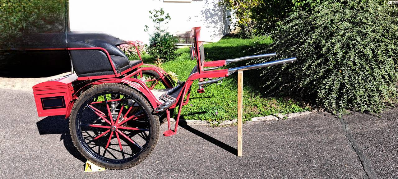 Attacchi - Gig - Altra marca - Gig d'attelage 