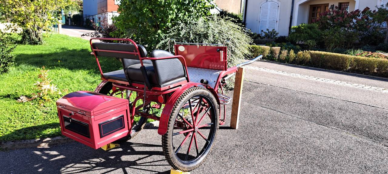 Attacchi - Gig - Altra marca - Gig d'attelage 