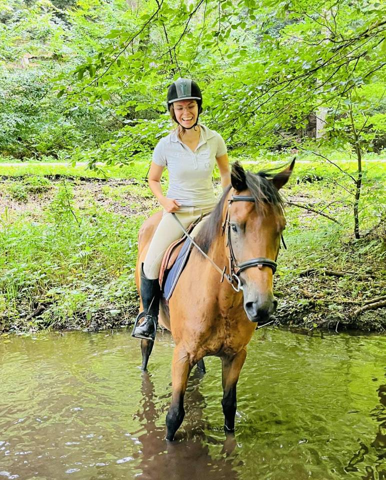 Castrone Purosangue In vendita 2021 Baio