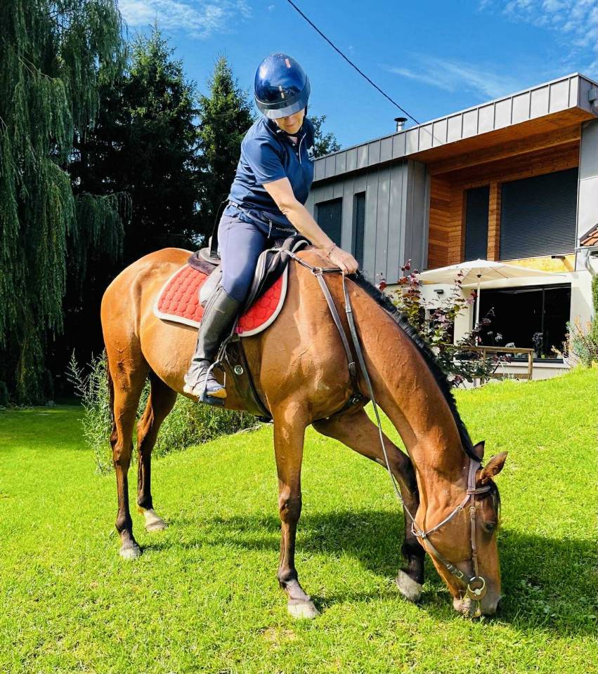 Cavalla Purosangue In vendita 2019 Baio