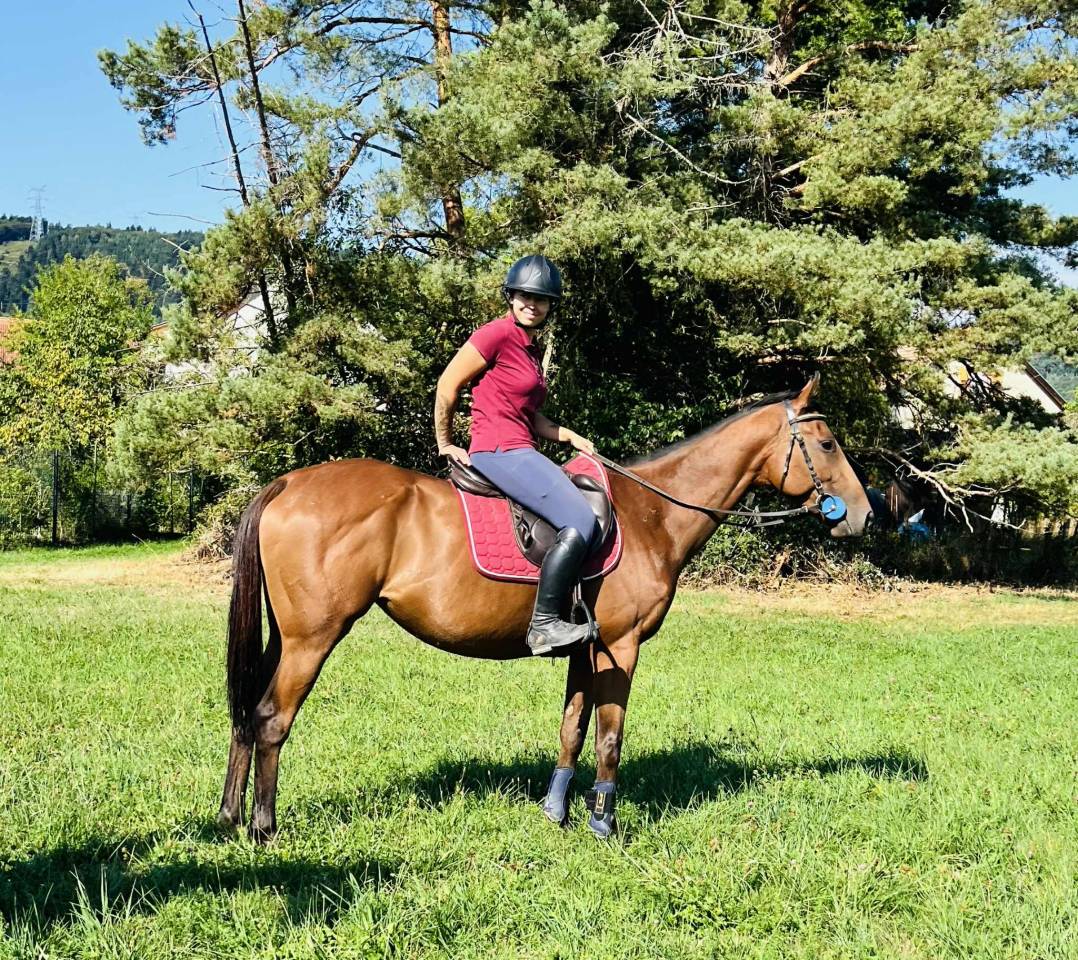 Cavalla Purosangue In vendita 2019 Baio