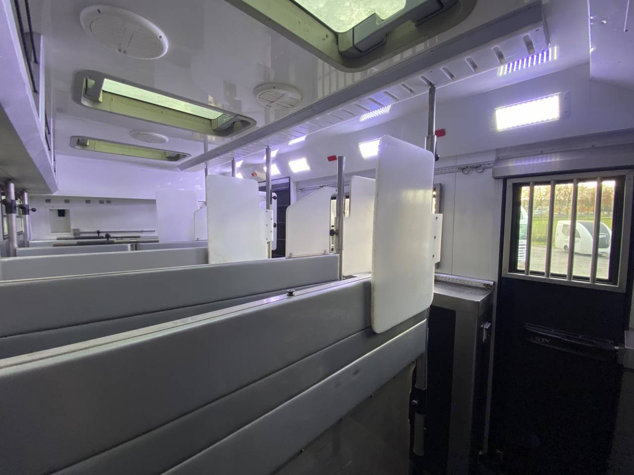 Camion per Cavalli STX  2014 Occasione