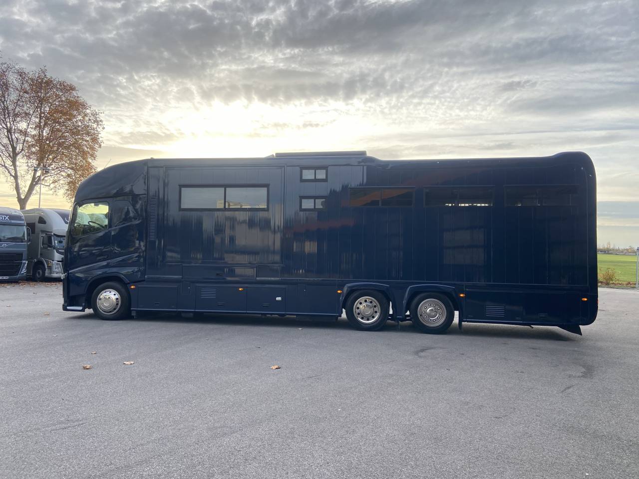 Camion per Cavalli STX  2014 Occasione