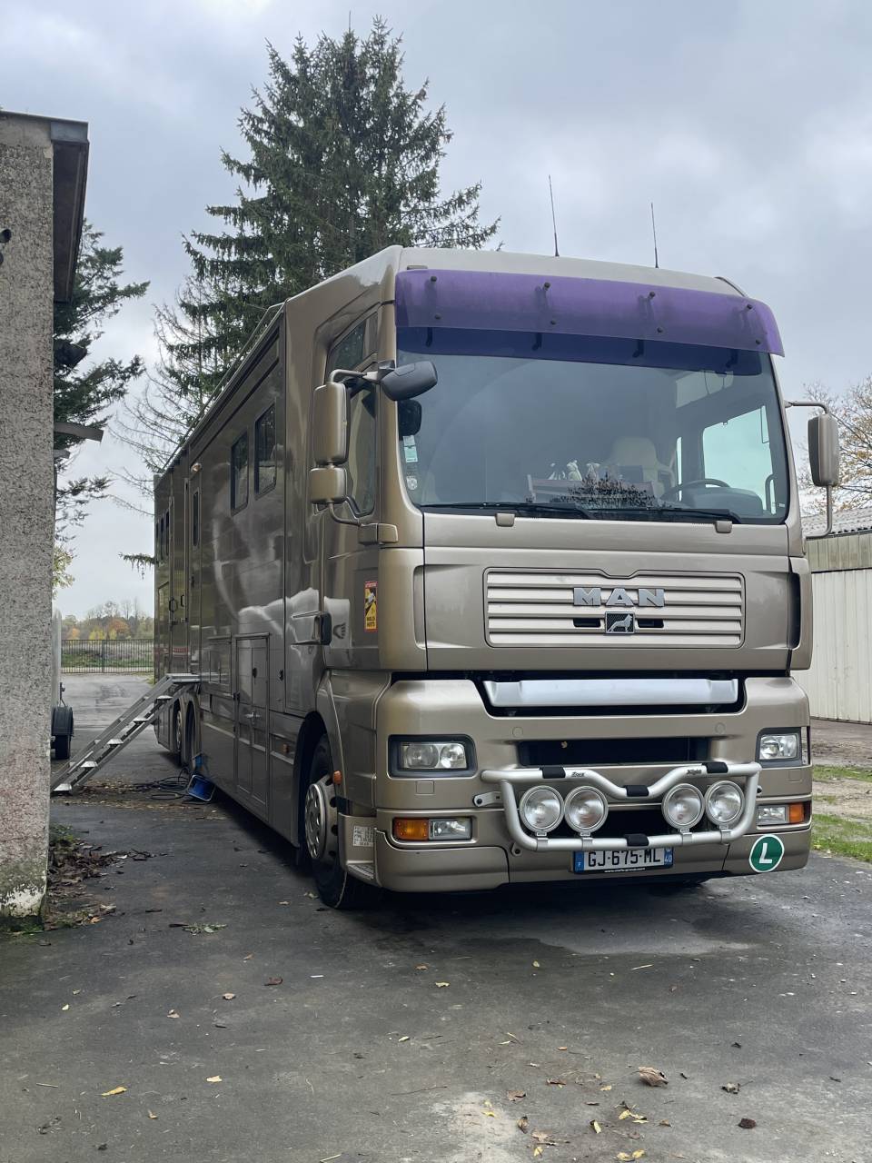 Camion per Cavalli Roelofsen Man  2005 Occasione