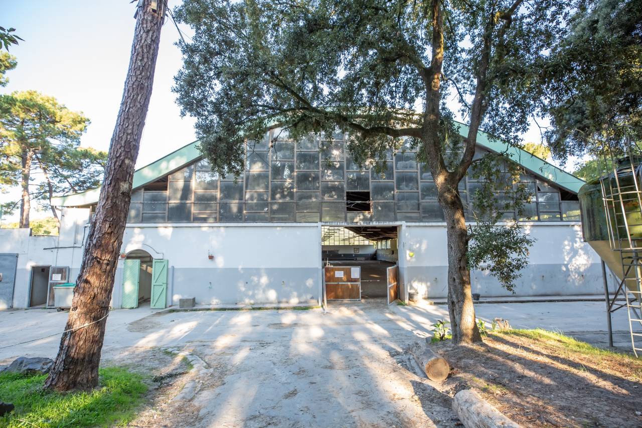 Centro ippico In vendita Charente-Maritime