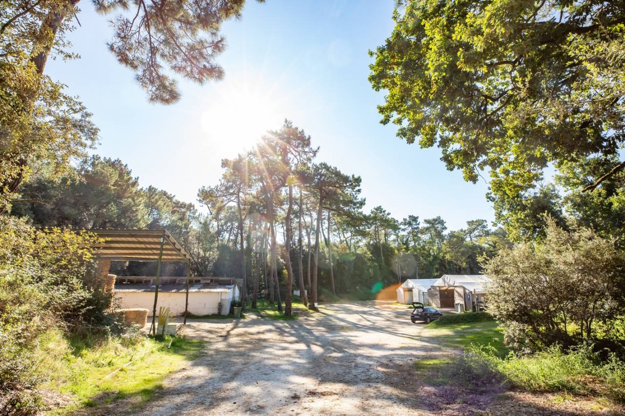 Centro ippico In vendita Charente-Maritime