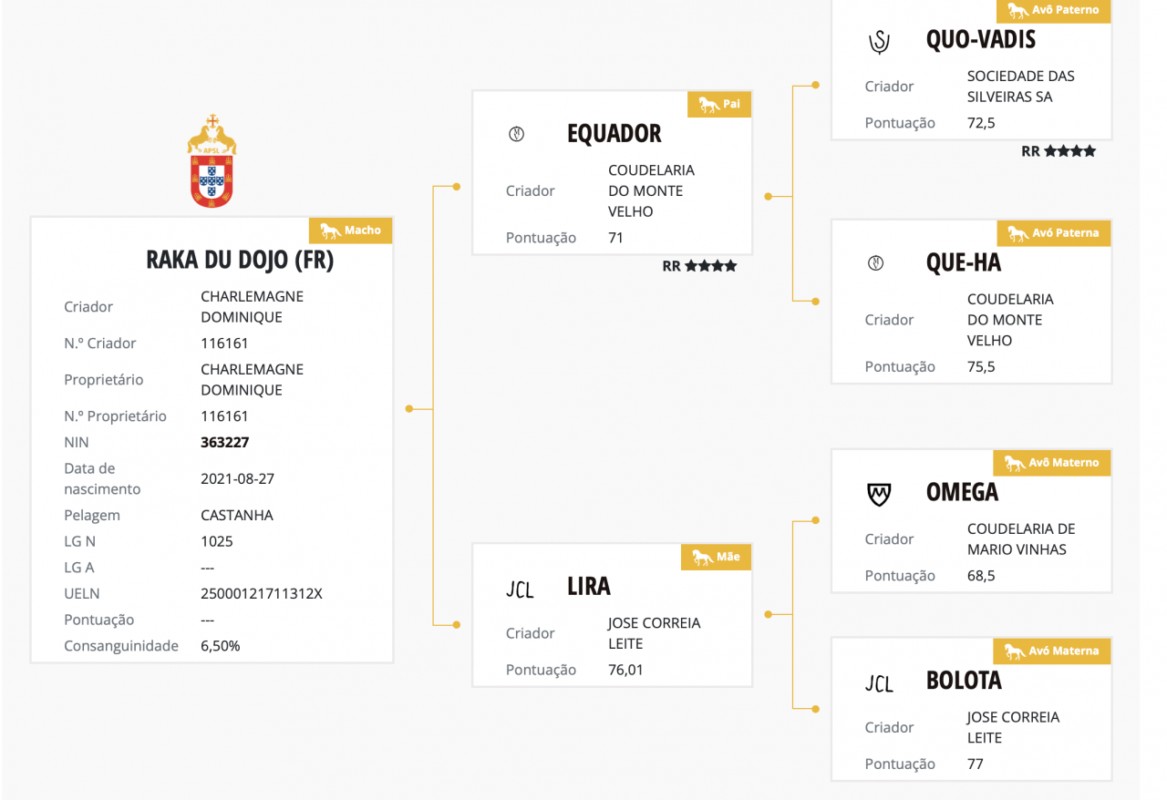 Intero Lusitano In vendita 2021 Baio ,  EQUADOR MVL