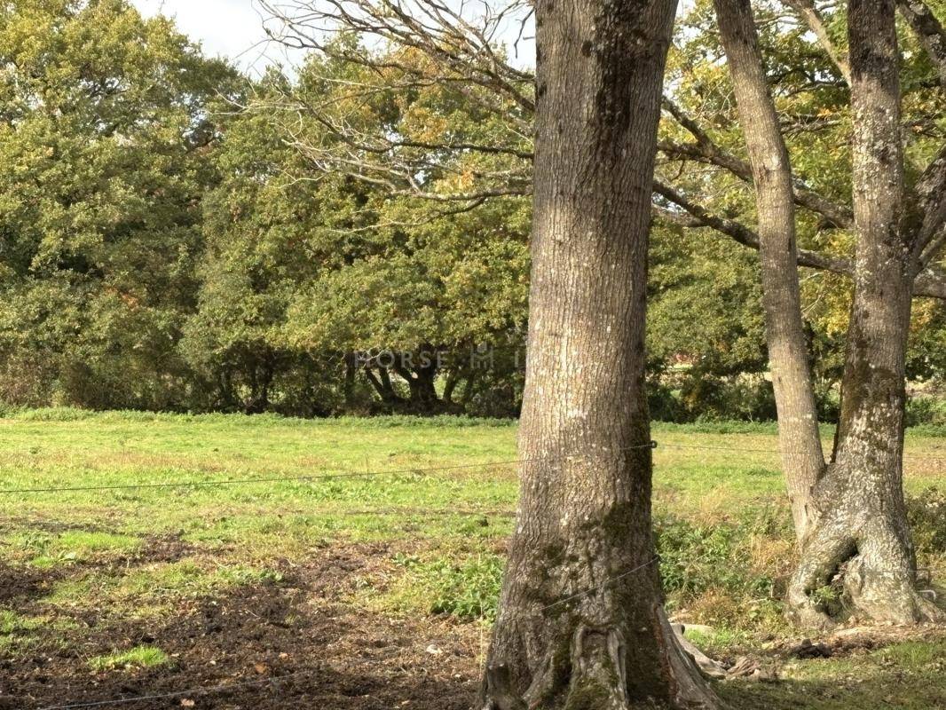Centro di stagione cavallo In vendita Loire-Atlantique