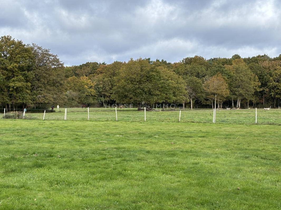 Centro di stagione cavallo In vendita Loire-Atlantique