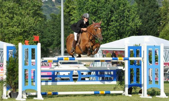 Castrone Sella Francese In vendita 2021 Sauro