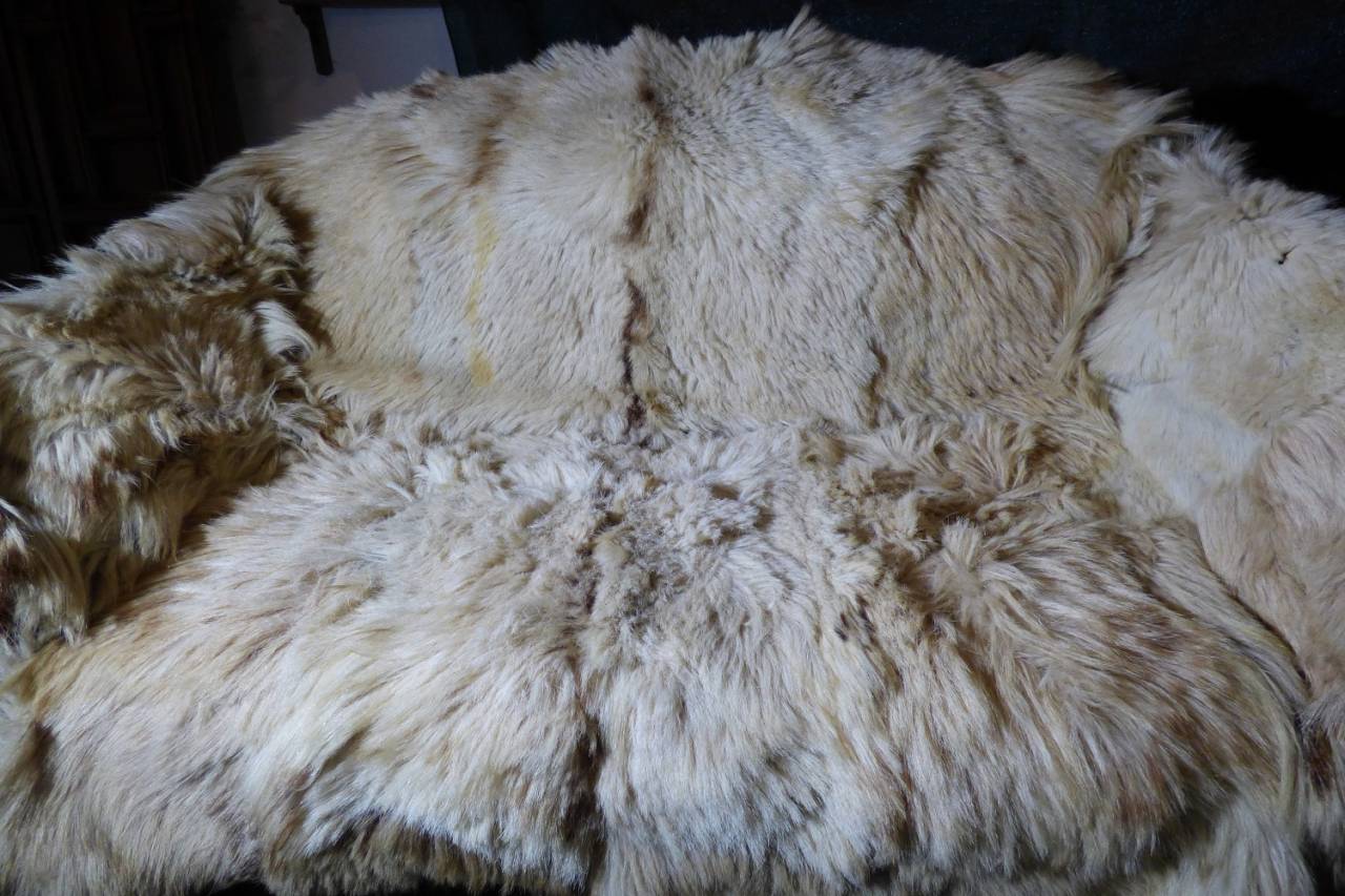 Attacchi - Altro attacco   