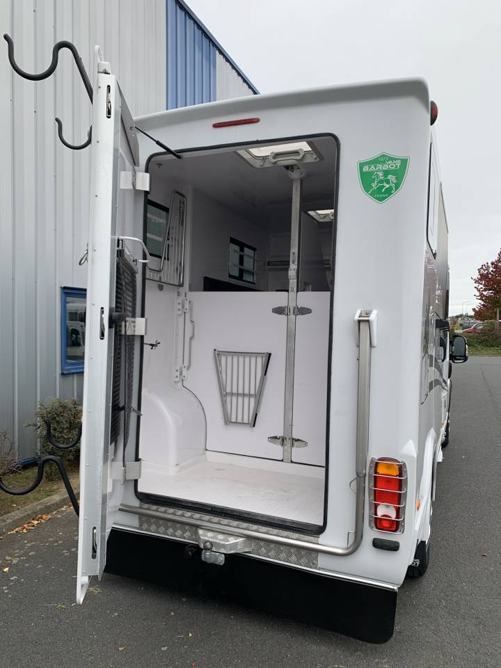 Van per Cavalli Barbot D5 2024 Occasione