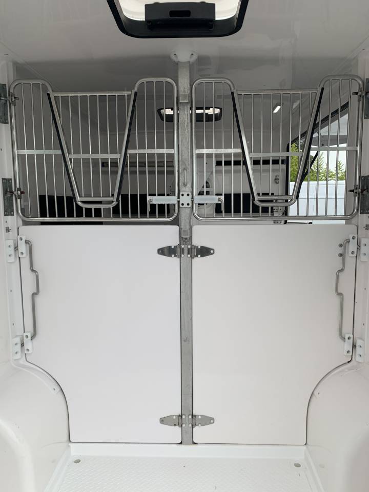 Van per Cavalli Barbot D5 2018 Occasione