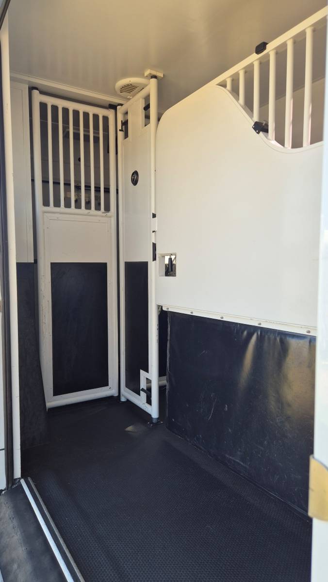 Van per Cavalli Laissac Utilitari Renault Master 2022 Occasione