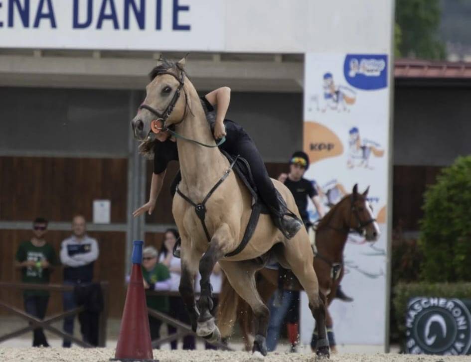 Remedy Lena un pony soeciale