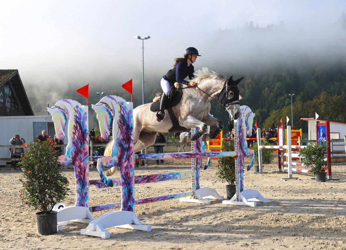Castrone Cavallo da Sport Ungherese In vendita 2013 Grigio