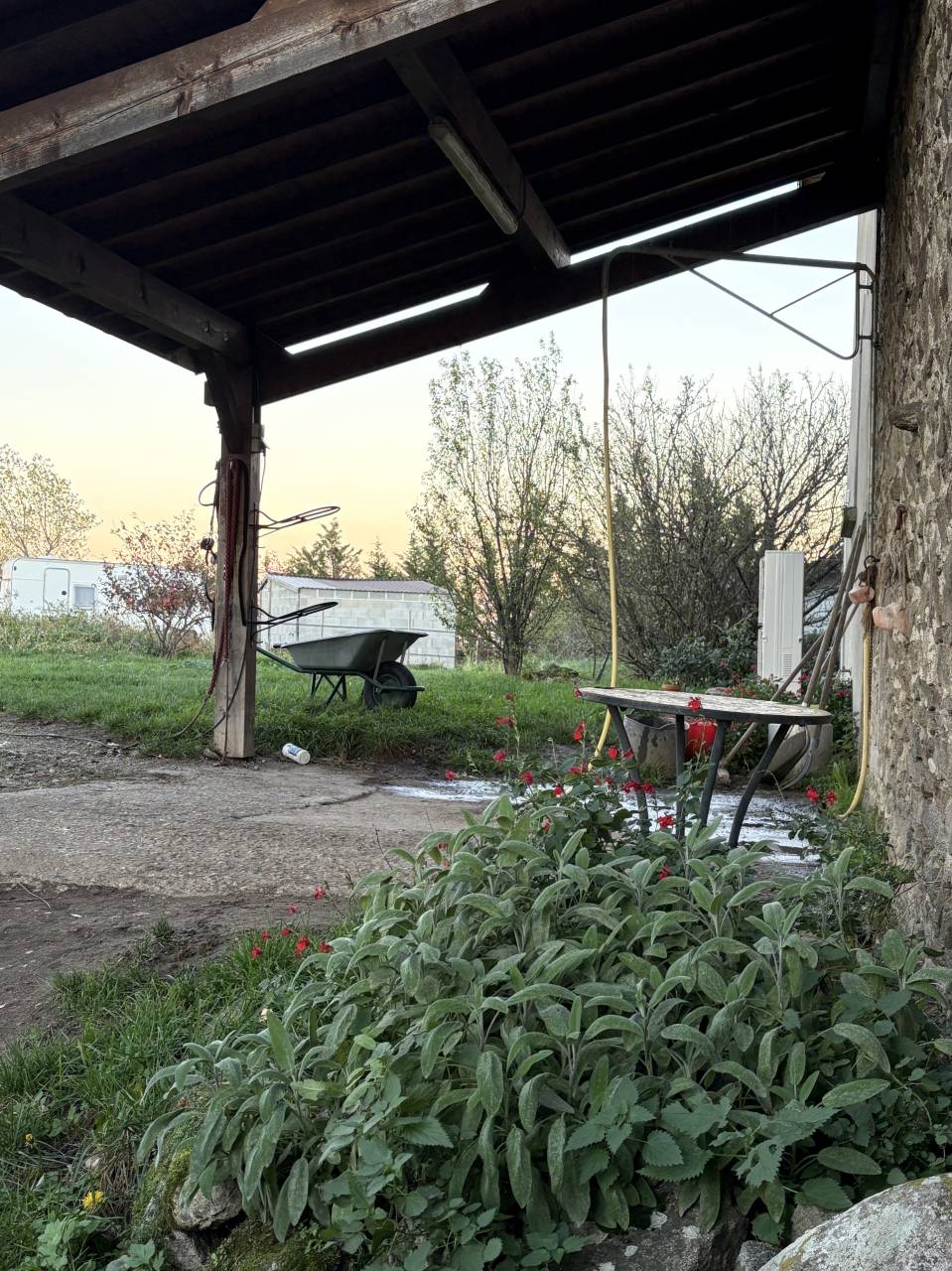 &Eacute;levage d&rsquo;Andeol 