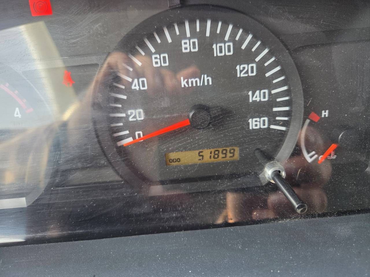 Camion per Cavalli Isuzu  2009 Occasione