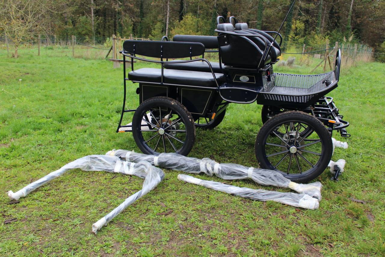 Attacchi - Marathon ricreazione - Altra marca - MARATHON TRAINING TR5 25331 