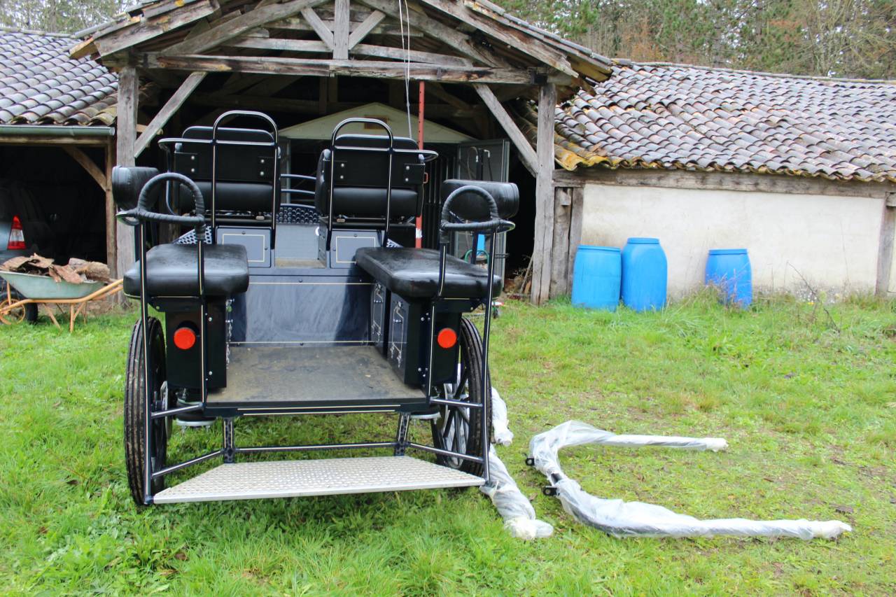 Attacchi - Marathon ricreazione - Altra marca - MARATHON TRAINING TR5 25331 