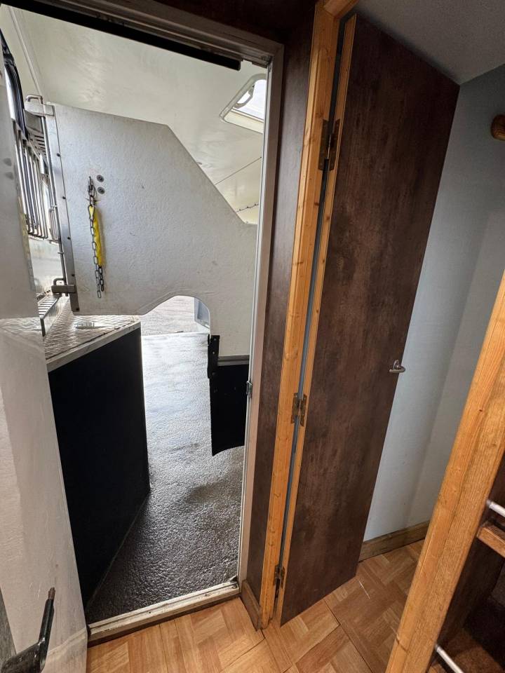 Camion per Cavalli Volvo VOLVO 2009 Occasione