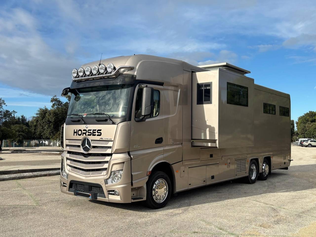 Camion per Cavalli EQUIX MERCEDES 2016 Occasione