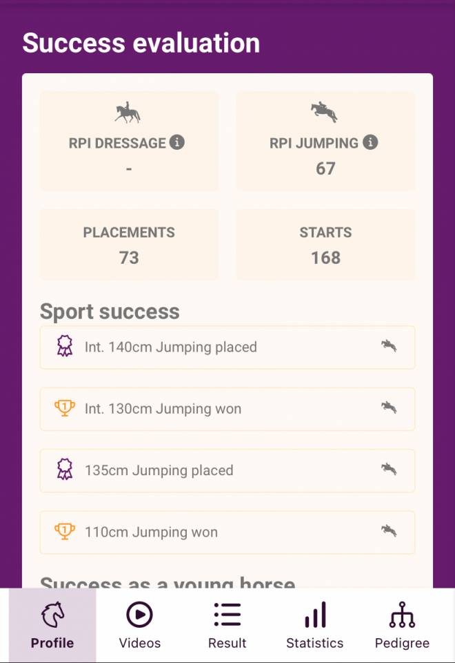 Castrone Oldenburger In vendita 2011 Grigio ,  Casillas 2