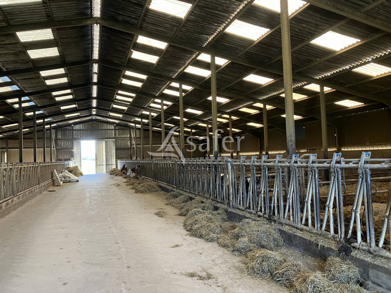 Azienda lattaia In vendita Haute-Saône