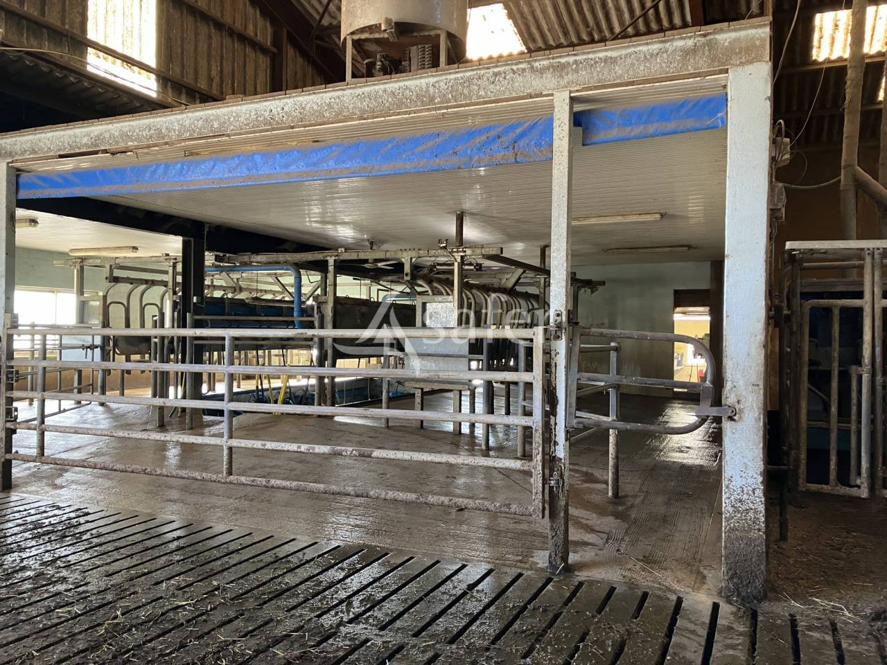 Azienda lattaia In vendita Haute-Saône