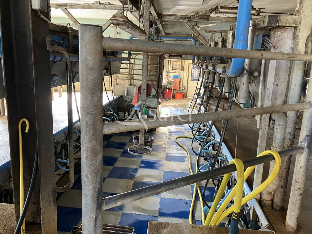 Azienda lattaia In vendita Haute-Saône