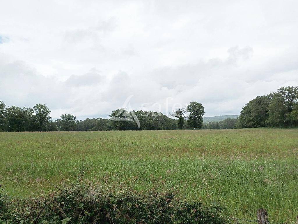 Azienda agricola In vendita Haute-Vienne